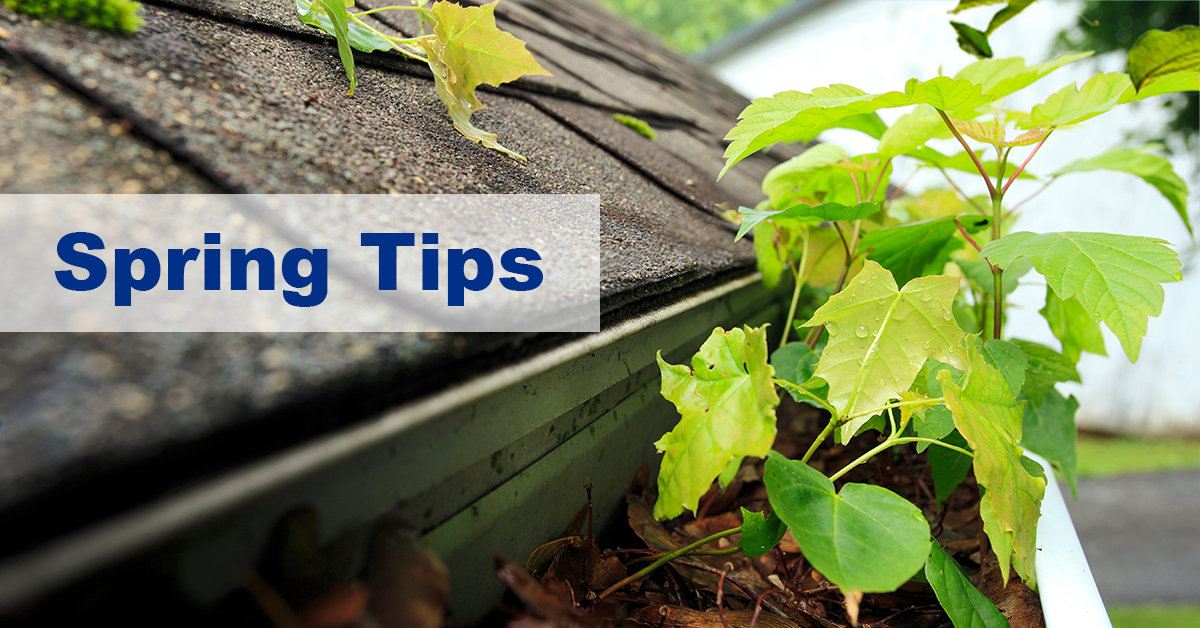 Clogged roof gutter in need of maintenance