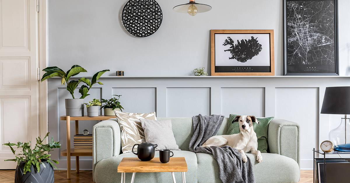 Home Staging Tips for Pet Owners